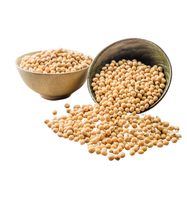 Bowls of soybeans